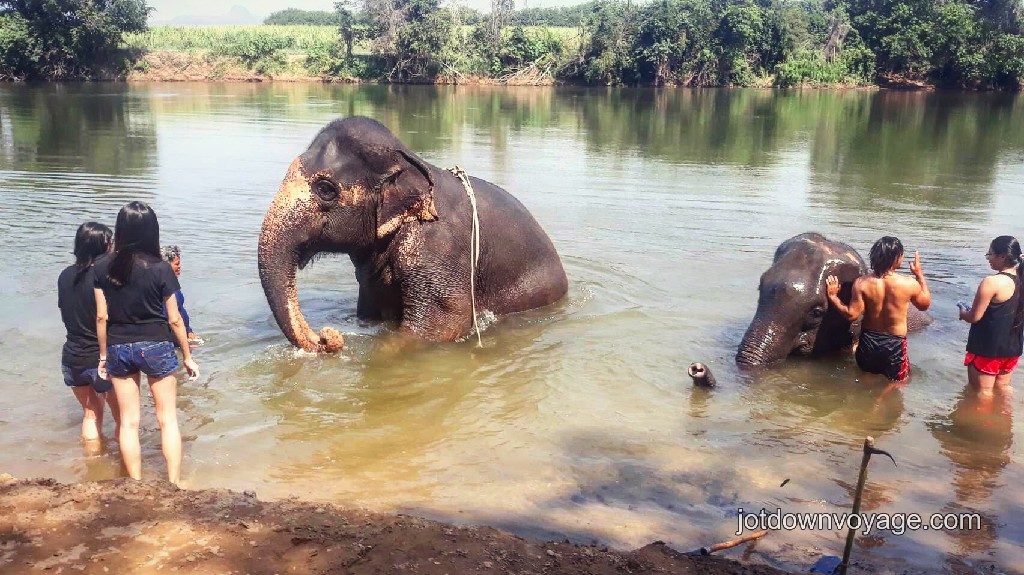2019 泰國遊記：Kanchanaburi 北碧府包車一日遊推薦、大象洗澡