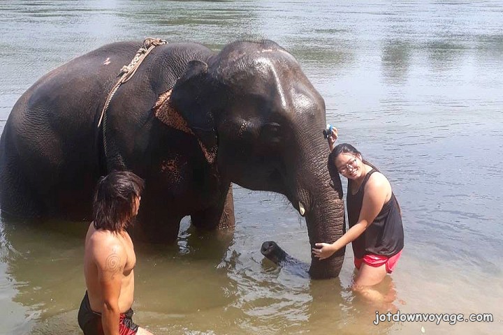 2019 泰國遊記：Kanchanaburi 北碧府包車一日遊推薦、大象洗澡
