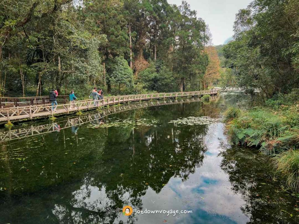 福山植物園超美生態水池