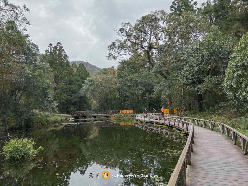 福山植物園，超美水生植物池